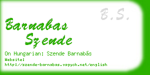 barnabas szende business card